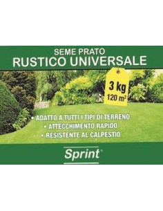 SPRINT SEMENTI PRATO... 2