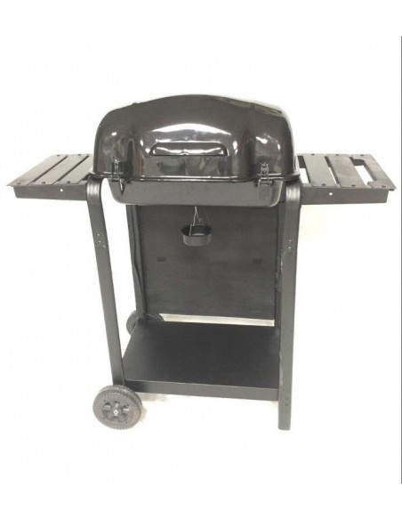 BARBECUE A GAS 2 FUOCHI