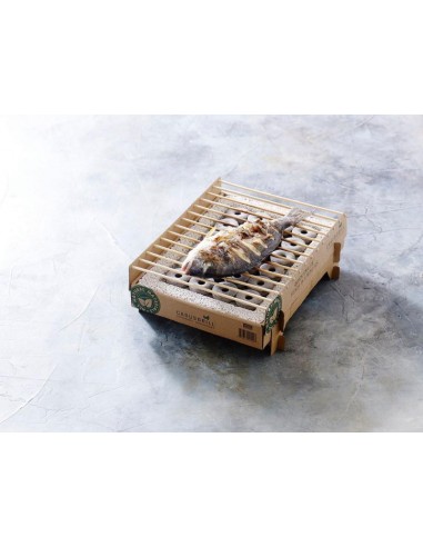 BARBEQUE PORTATILE MONOUSO...