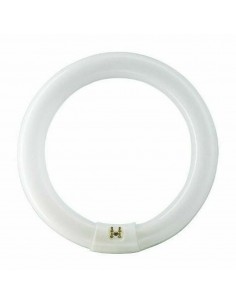CIRCOLINA PHILIPS G10Q 22W/840