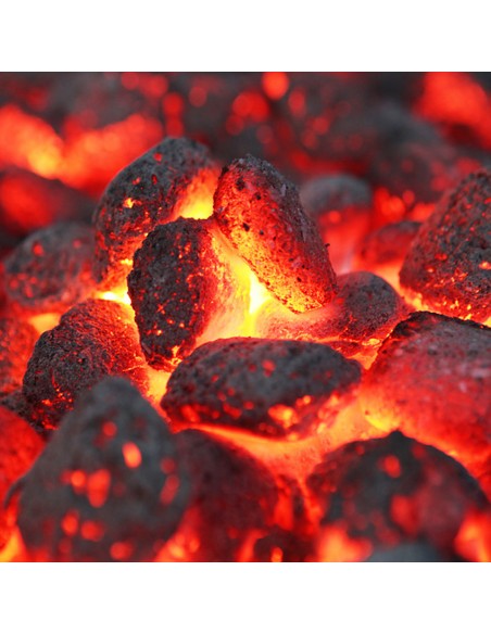 OVULI DI CARBONE VEGETALE KG.3