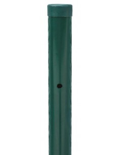 PALO FERRO D3,4 H.125 CM