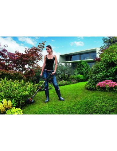 Decespugliatore Tagliabordi a... Decespugliatore Tagliabordi a...