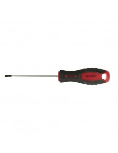 GIRAVITE TORX TX25 X 100 MM