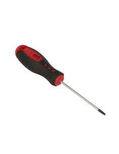 GIRAVITE TORX TX25 X 100 MM 2