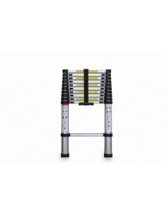 SCALA TELESCOPICA 10 GRADINI