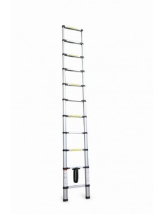 SCALA TELESCOPICA 10 GRADINI 2