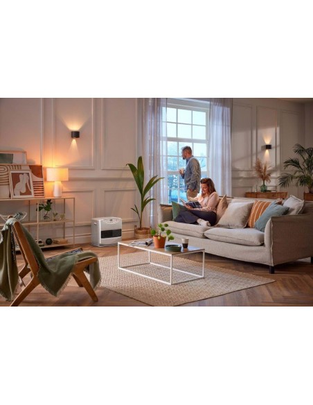 STUFA A COMBUSTIBILE LIQUIDO