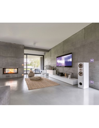 PLACCA BRAIN CLASSIC BIANCA PLACCA BRAIN CLASSIC BIANCA