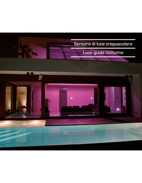 PLACCA BRAIN CLASSIC BIANCA