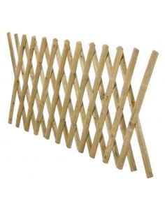 RECINZIONE ESTENSIBILE 250X80 2