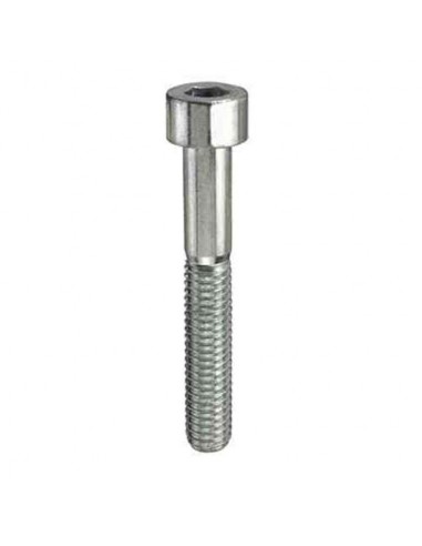 VITI METRICHE TCEI INOX A2 - M6 X 10 - 12 PZ.