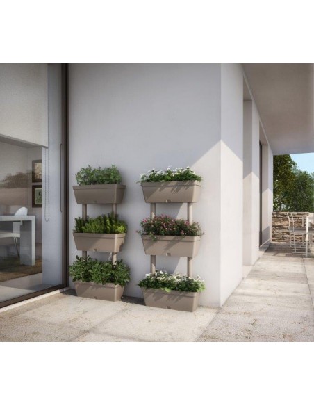 ORTO IN CASA TORTORA