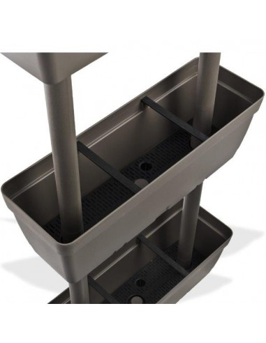 ORTO IN CASA TORTORA ORTO IN CASA TORTORA