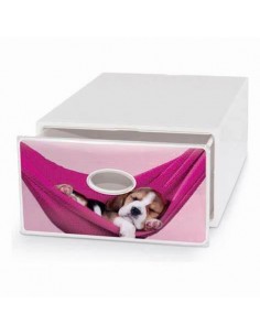 QBOX DECO LARGE - PETS