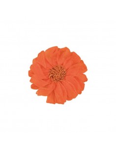 CALAMITA FIORE ARANCIO