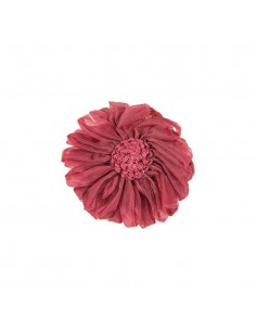CALAMITA FIORE BORDEAUX