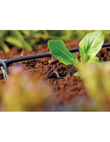 RACCORDO A T 4MM CF.12 RACCORDO A T 4MM CF.12