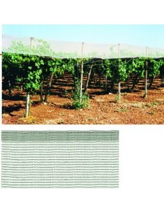 RETE ANTIGRANDINE 2x10 mt