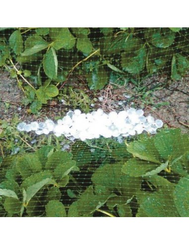 RETE ANTIGRANDINE 2x10 mt RETE ANTIGRANDINE 2x10 mt