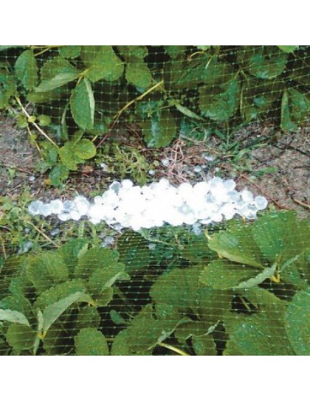 RETE ANTIGRANDINE 2x10 mt