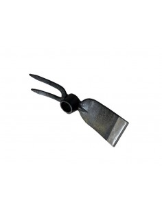 TESTA ZAPPINO QUADRO BIDENTE 2