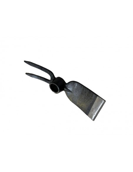 TESTA ZAPPINO QUADRO BIDENTE