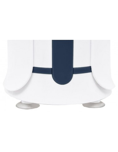 FRULLATORE SMOOTHIE CON BORRACCIA FRULLATORE SMOOTHIE CON BORRACCIA