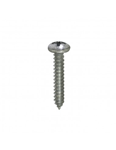 VITI AUTOFILETTANTI TESTA CILINDRICA INOX A2 - 2,9 X 13 - 20 PZ.