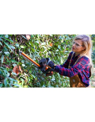 TAGLIASIEPI A BATTERIA 20V TAGLIASIEPI A BATTERIA 20V