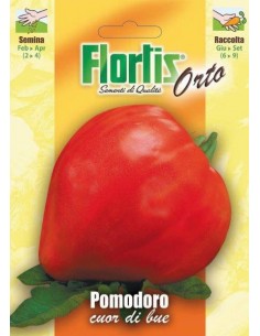 POMODORO CUOR DI BUE