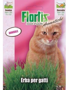 ERBA PER GATTI
