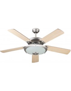 VENTILATORE A SOFFITTO 5...