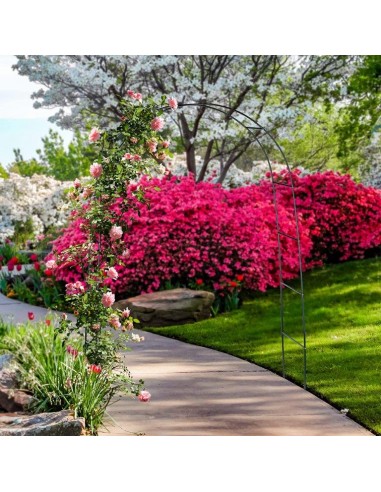 ARCO DA GIARDINO 240X140 VERDE ARCO DA GIARDINO 240X140 VERDE