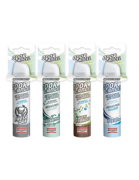 IGENIZZANTE AUTO ODOR CANCEL OCEAN