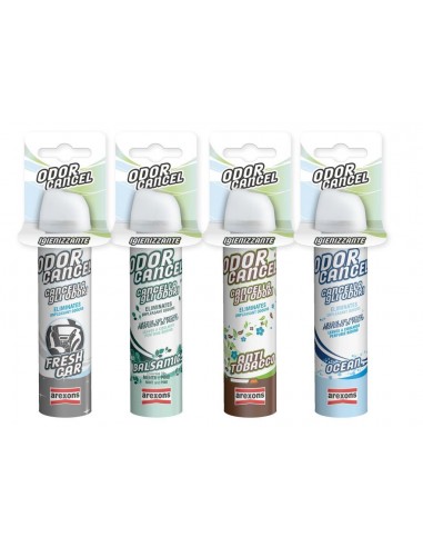 IGENIZZANTE AUTO ODOR CANCEL OCEAN IGENIZZANTE AUTO ODOR CANCEL OCEAN