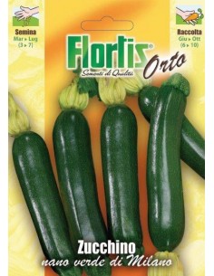 ZUCCHINO NANO VERDE MILANO