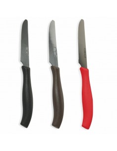 SET 6 COLTELLI TAVOLA 21CM...