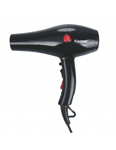 ASCIUGACAPELLI 2000W...
