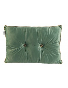 CUSCINO VELLUTO 42X63CM...