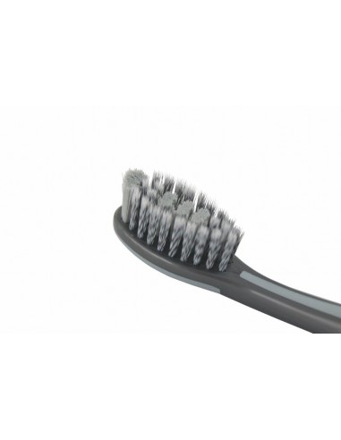 SPAZZOLINO CON MAGNETE SPAZZOLINO CON MAGNETE