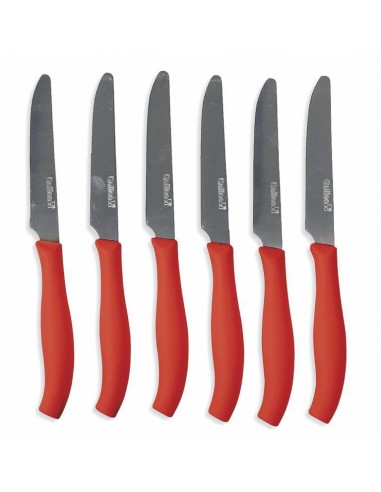 SET 6 COLTELLI TAVOLA 21CM PUNTA... SET 6 COLTELLI TAVOLA 21CM PUNTA...