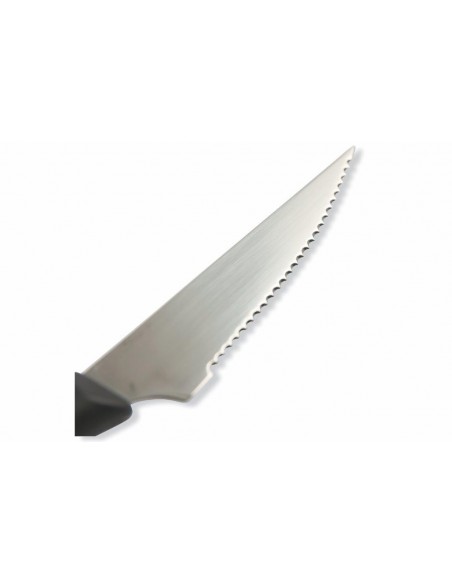 SET 6 COLTELLI BISTECCA 21CM LAMA LARGA DENTIGRAND