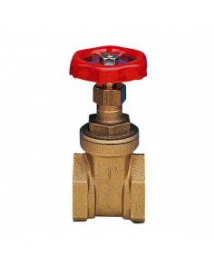 SARACINESCA IN OTTONE DA 1/2