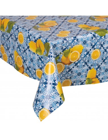 TOVAGLIA PVC 0,35MM D160  ASSORTITI TOVAGLIA PVC 0,35MM D160  ASSORTITI