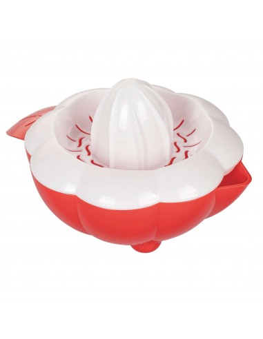 SPREMI AGRUMI 3 COLORI ASSORTITI SPREMI AGRUMI 3 COLORI ASSORTITI