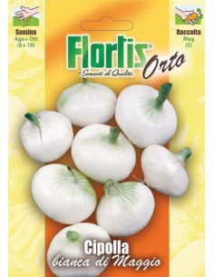 CIPOLLA BIANCA DI MAGGIO
