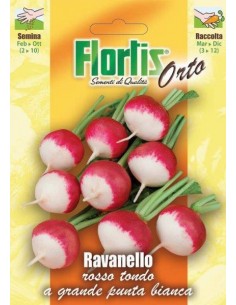 RAVANELLO ROSSO TONDO