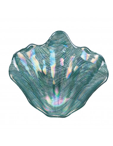 CONCHIGLIA OSTRICA 19CM 6 COLORI... CONCHIGLIA OSTRICA 19CM 6 COLORI...