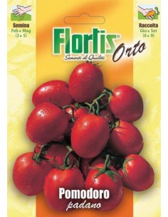 POMODORO PADANO